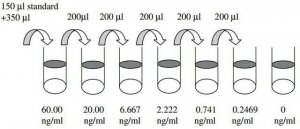 Human Fractalkine / CX3CL1 ELISA Kit RAB0112-1KT