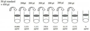 Human Furin ELISA Kit RAB0198-1KT
