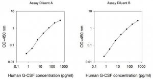 Human G-CSF / CSF3 ELISA Kit RAB0103-1KT