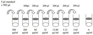 Human Granulocye-Macrophage Colony Stimulating Factor / CSF2 ELISA Kit RAB0100-1KT