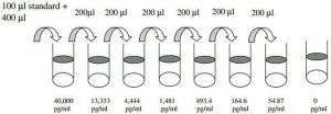 Human hCG (intact) ELISA Kit RAB0092-1KT