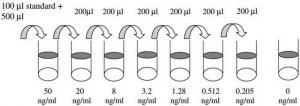 Human Heat Shock Protein 27 ELISA Kit RAB0217-1KT