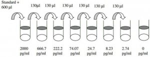 Human HGF ELISA Kit RAB0212-1KT