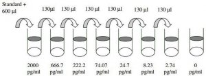 Human HGF ELISA Kit RAB0213-1KT