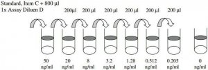 Human HTRA2 ELISA Kit RAB0218-1KT