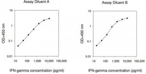Human IFN ELISA Kit RAB0222-1KT