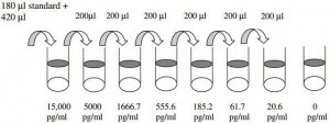 Human IFN ELISA Kit RAB0222-1KT
