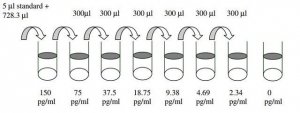 Human IL-10 ELISA Kit RAB0244-1KT