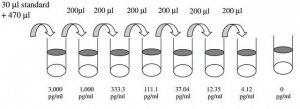 Human IL-10 R ELISA Kit RAB0249-1KT