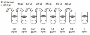 Human IL-12 p70 ELISA Kit RAB0252-1KT