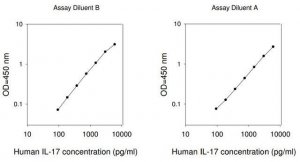 Human IL-17 ELISA Kit RAB0262-1KT