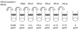 Human IL-17F ELISA Kit RAB0265-1KT