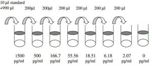 Human IL-2 ELISA Kit RAB0286-1KT