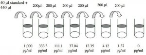 Human IL-6 ELISA Kit RAB0307-1KT