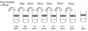 Human IL-6 sR ELISA Kit RAB0313-1KT