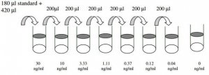 Human IL-9 ELISA Kit RAB0322-1KT