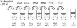 Human IL1-7R ELISA Kit RAB0266-1KT