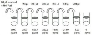Human IP-10 / CXCL10 ELISA Kit RAB0119-1KT