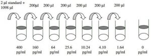 Human Leptin ELISA Kit RAB0333-1KT