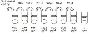 Human LIGHT ELISA Kit RAB0496-1KT