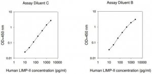 Human LIMP-II ELISA Kit RAB0421-1KT