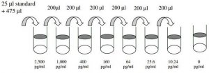 Human LIMP-II ELISA Kit RAB0421-1KT