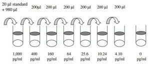 Human Lipocalin-2 / NGAL ELISA Kit RAB0332-1KT