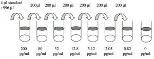 Human MCP-2 / CCL8 ELISA Kit RAB0079-1KT