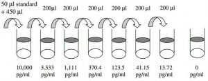 Human MICA ELISA Kit RAB0358-1KT
