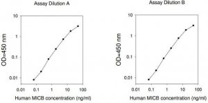 Human MICB ELISA Kit RAB0359-1KT