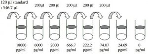 Human MMP-1 ELISA Kit RAB0361-1KT