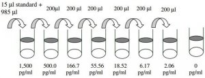 Human MMP-10 ELISA Kit RAB0363-1KT