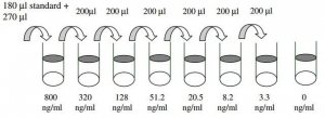 Human MMP-2 ELISA Kit RAB0365-1KT
