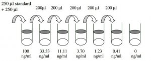 Human MMP-3 ELISA Kit RAB0367-1KT