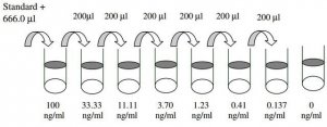 Human MMP-7 ELISA Kit RAB0369-1KT