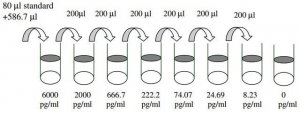 Human MMP-8 ELISA Kit RAB0370-1KT