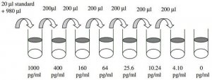Human NAP-2 / CXCL7 ELISA Kit RAB0135-1KT