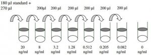 Human NGF R ELISA Kit RAB0382-1KT