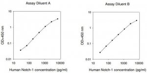 Human Notch-1 ELISA Kit RAB0384-1KT