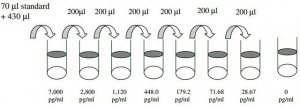 Human Notch-1 ELISA Kit RAB0384-1KT