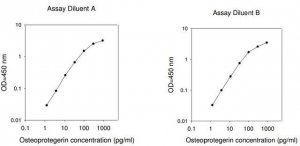 Human Osteoprotegerin / TNFRSF11b ELISA Kit RAB0484-1KT