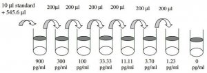 Human Osteoprotegerin / TNFRSF11b ELISA Kit RAB0484-1KT