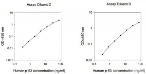 Human p53 ELISA Kit RAB0500-1KT