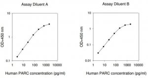 Human PARC / CCL18 ELISA Kit RAB0051-1KT
