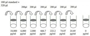 Human PDGF R ELISA Kit RAB0400-1KT