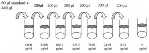 Human PECAM-1 ELISA Kit RAB0401-1KT