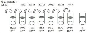 Human Platelet Factor-4 / CXCL4 ELISA Kit RAB0402-1KT