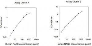 Human RAGE / AGER ELISA Kit RAB0007-1KT