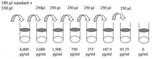 Human SDF 1 ELISA Kit RAB0123-1KT