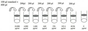 Human ShhN ELISA Kit RAB0430-1KT
